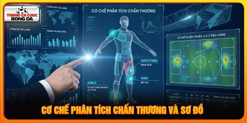 Cơ chế phân tích chấn thương và sơ đồ